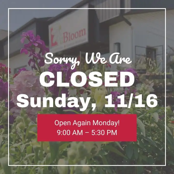 Sorry for the inconvenience, but we will be closed tomorrow, Sunday November 16, for the wedding show at Venue 404! 💕Ope...